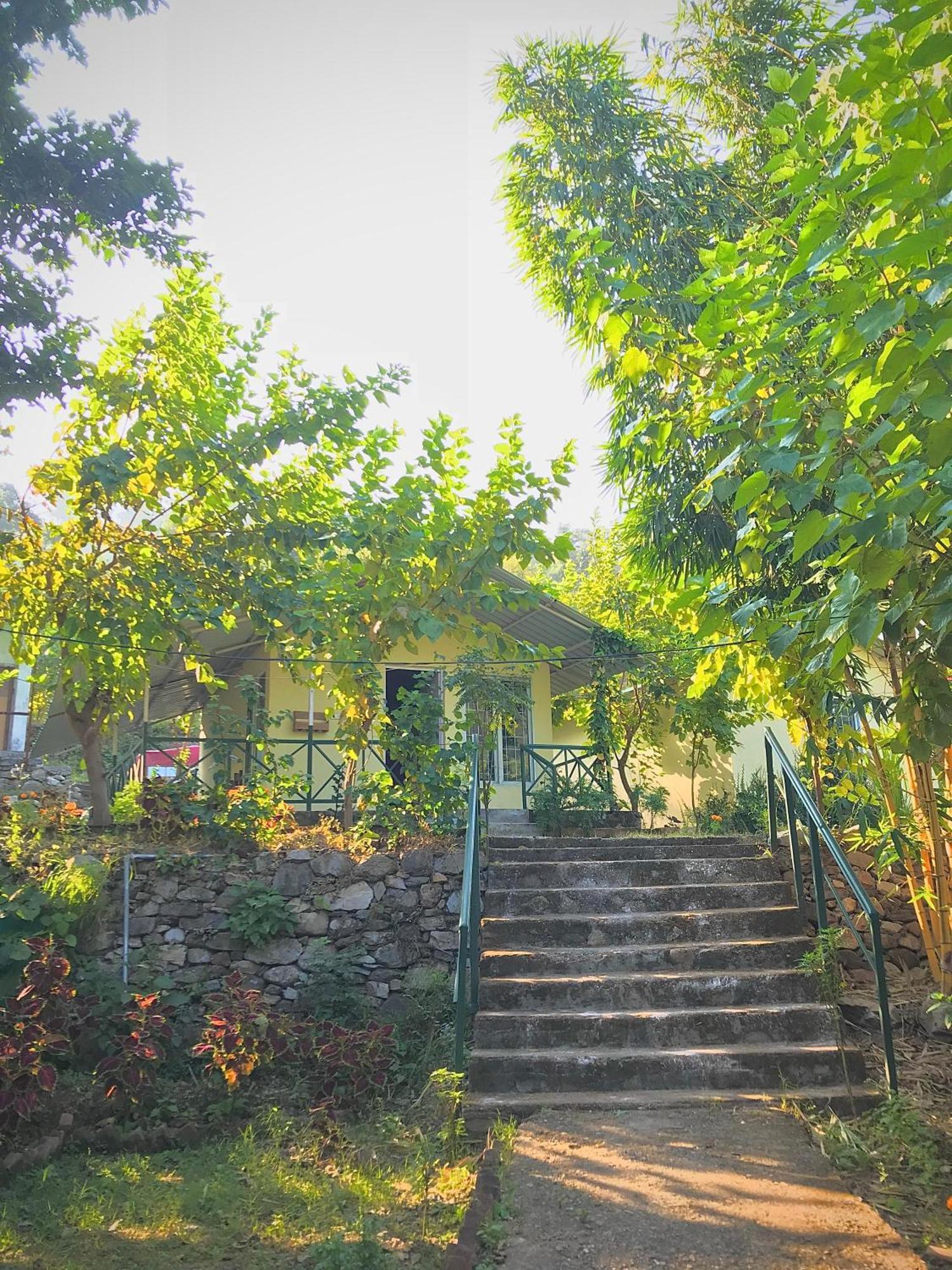 Shoolin Jungle Resort Rishīkesh Εξωτερικό φωτογραφία